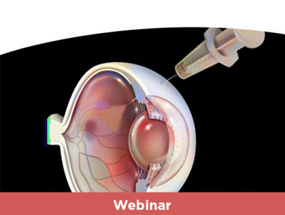 Safety of the New Anti-VEGF Therapies